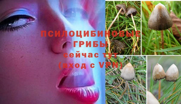 apvp Балабаново