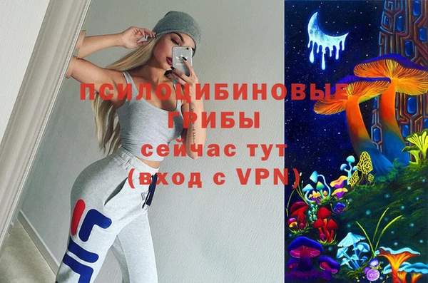 apvp Балабаново